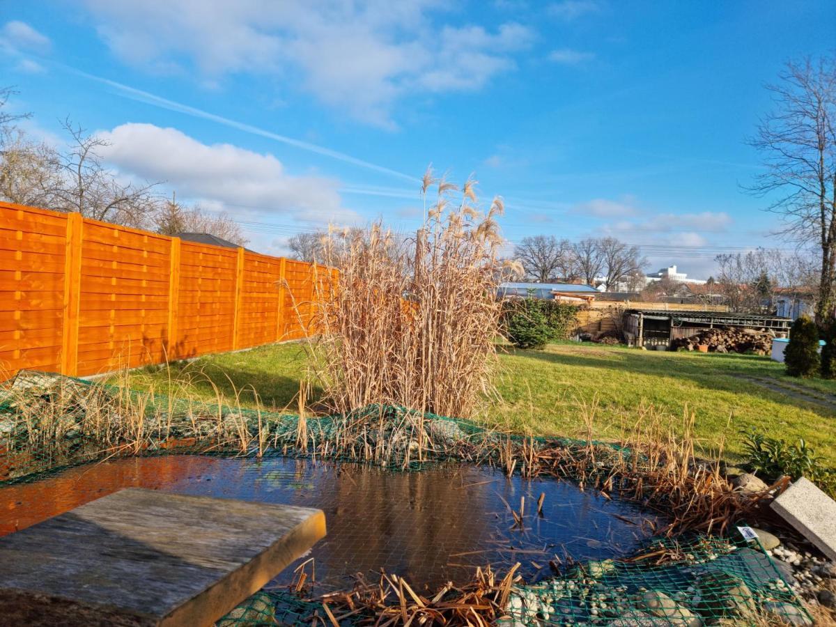 Liebevoll Eingerichtetes Haus Mit Grossem Garten In Dresden - Telefonnummer Und Video Unter Www Fhvn De المظهر الخارجي الصورة